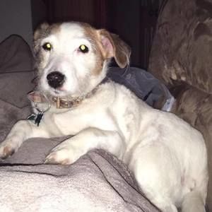 Meet your Posher, Denise